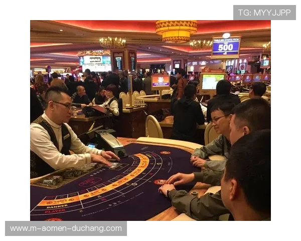 澳门十大博彩场所介绍，顶级赌场环境与服务体验，开启尊贵博彩之旅